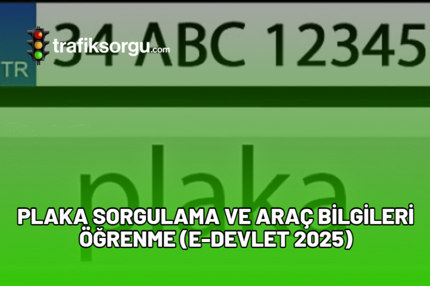 Plaka Sorgulama ve Araç Bilgileri Öğrenme (E-Devlet 2025)
